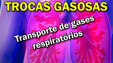 As Trocas Gasosas No Pulmão Humano Em Condições Normais Ocorrem - As Trocas Gasosas No Pulmao Humano Em Condicoes Normais Ocorrem - FDPLEARN