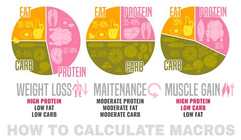 Calculate Your Macros For Fat Loss And Performance