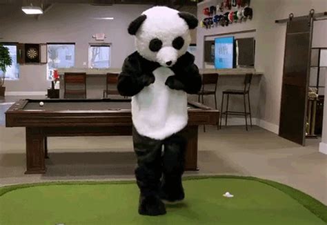 Panda GIFs - Find & Share on GIPHY