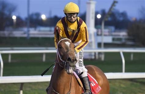 Kentucky Oaks pedigrees: Curlin daughters dominate preps