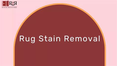 PPT - Rug Stain Removal PowerPoint Presentation, free download - ID ...