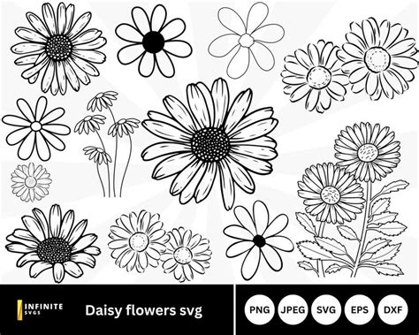 Daisy Flower Svg Flower Svg Daisy Flower Clipart Flower Cut File