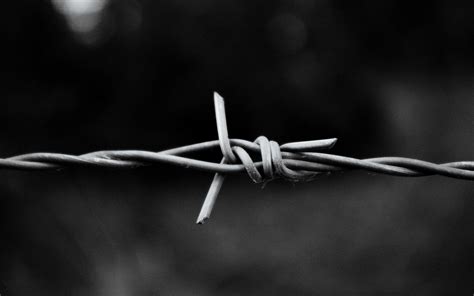 Barbed Wire Wallpapers - Top Free Barbed Wire Backgrounds - WallpaperAccess