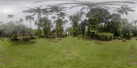 Foggy Botanical Garden Hdri Maps And Backplates