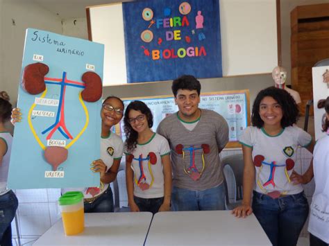 Feira De Ciencias Corpo Humano Revoeduca