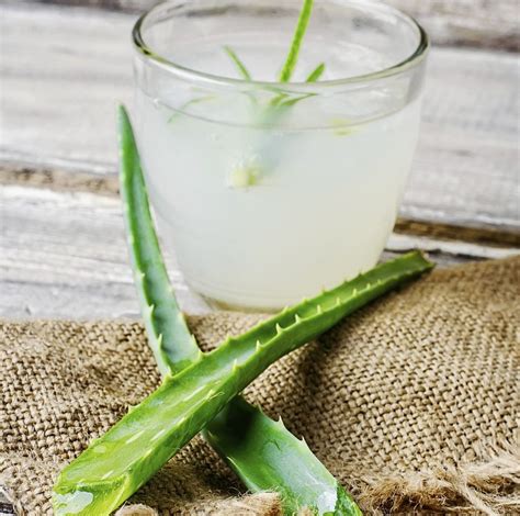 Beneficios De Consumir Aloe Vera Para La Salud Y El Bienestar