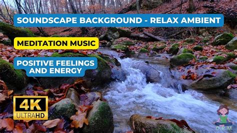 🍃 Soundscape Background Relax Ambient 🍂 4k Loop Meditation Music