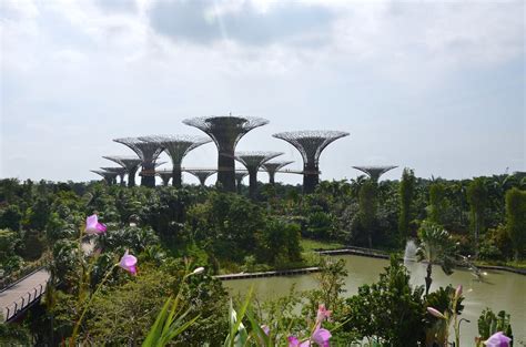 Gardens By The Bay In Singapore Necessary Indulgences