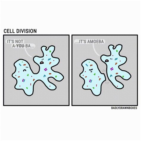 Cell-division GIFs - Find & Share on GIPHY