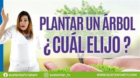 Tips para elegir qué árbol plantar en tu región Ideas de jardinería