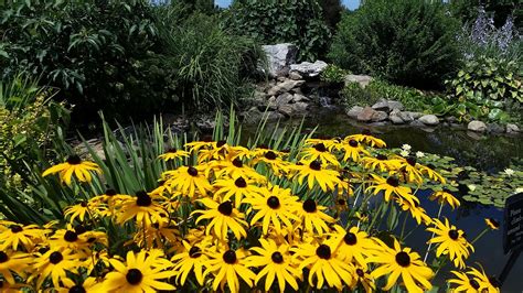 Secrest Arboretum All You Need To Know Before You Go 2025