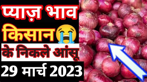 Shajapur Mandi Pyaj Bhav Onion Price Today March Youtube