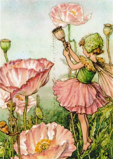 Highapplepieintheskyhopes Flower Fairies Fairy Pictures Vintage Fairies