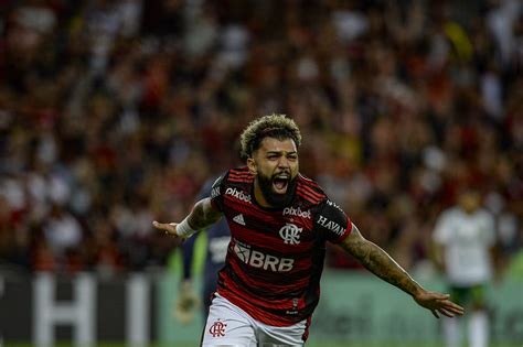 Tolima X Flamengo Ao Vivo Onde Assistir Futdados