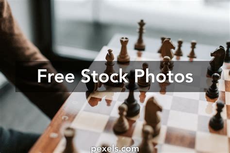 Game Over You Lost Photos Download The Best Free Game Over You Lost