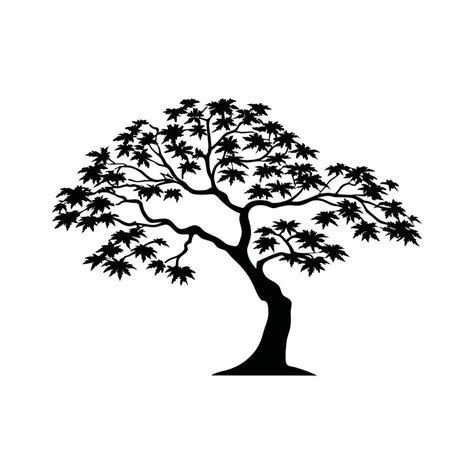 Elegant Japanese Maple Tree Design Outline 57956554 Vector Art at Vecteezy