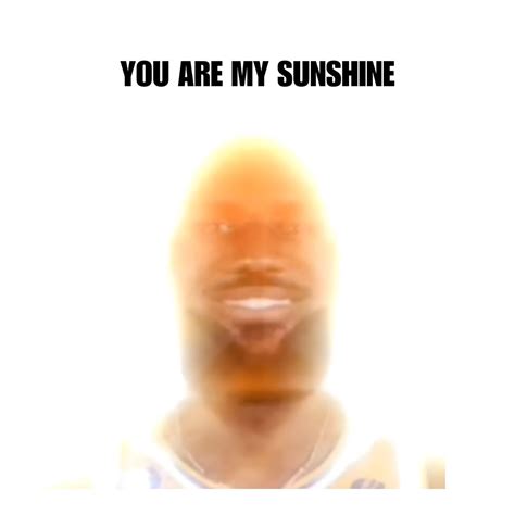 ‎you Are My Sunshine Lebron James Single Album By Diarrhea Dude