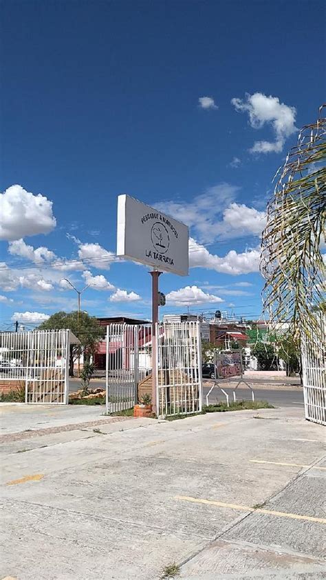 Carta De La Perla Norte Restaurant De Pescados Y Mariscos Aguascalientes