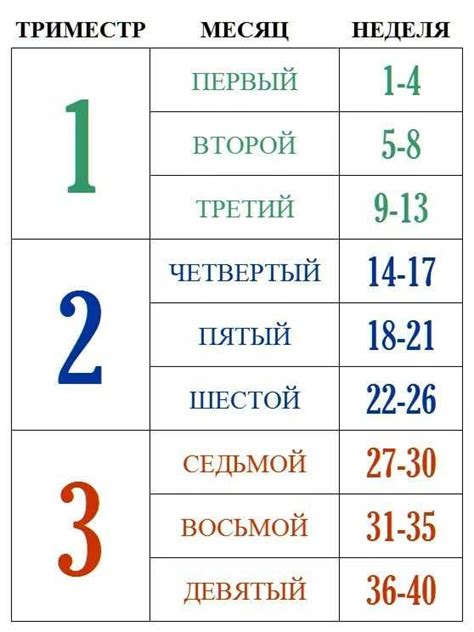 Триместры беременности по неделям: основные моменты