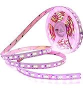 Amazon Ledenet Smd Double Row V Rgbcct Flexible Led Strip