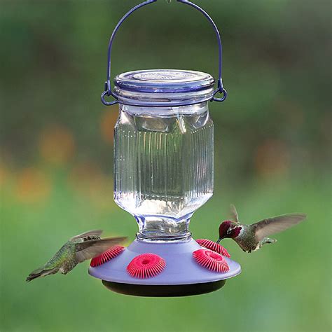 Lavender Top Fill Glass Hummingbird Feeder Mommas Home Store