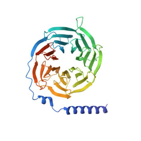 Rcsb Pdb 8iru Dopamine Receptor D4r Gi Rotigotine Complex