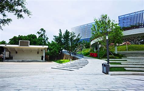 图说科学城—新湖街道