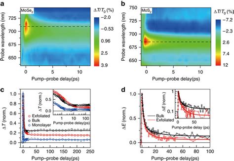 Ultrafast Carrier Relaxation Dynamics Of The TMD Composite Films