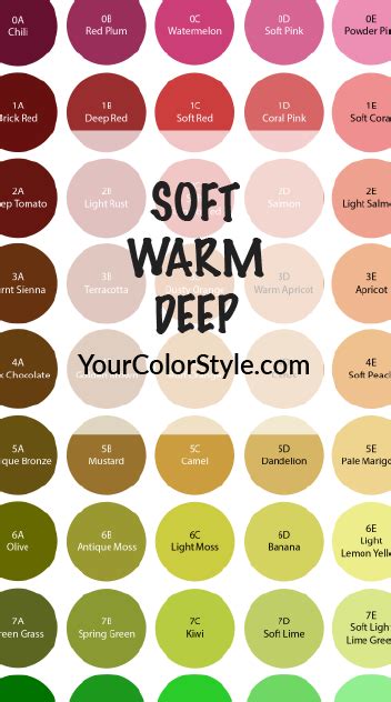 Soft Warm And Medium Color Palette Soft Autumn Color Palette Spring