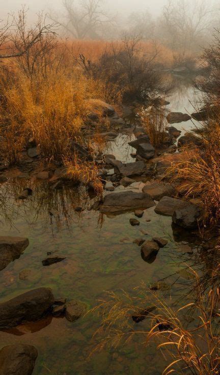 Pin By Jeannine Foret On Leaves Falls And The Spirit Soars In