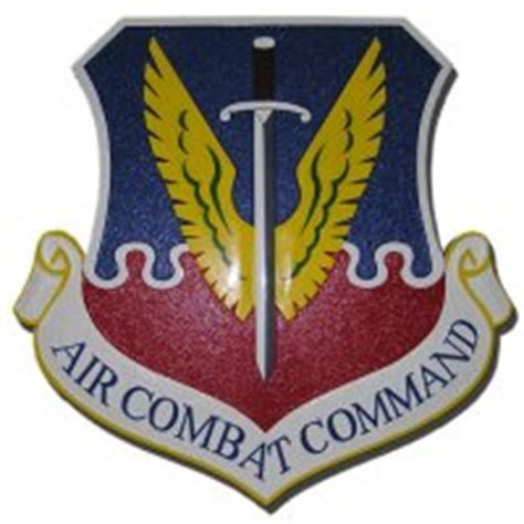 Air combat command Logos