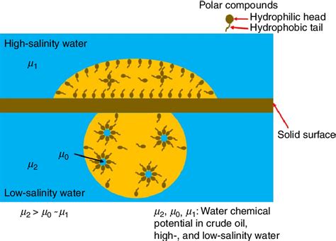 Llustration Of Different Wettability Behaviors In High And Low Salinity