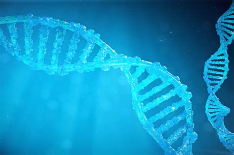 Gene Sequencing System Alignment And Integration Optikos