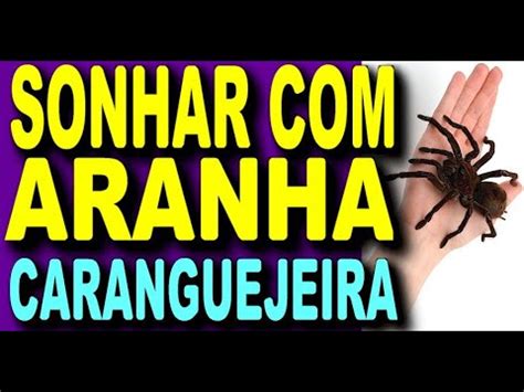 Sonhar Aranha Caranguejeira O Que Significa Sonhar Aranha