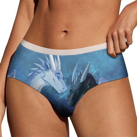 Wings Of Fire Women S Lace Brief Breathable Sexy Elastic Bikini Hipster Panties Lady Underwear