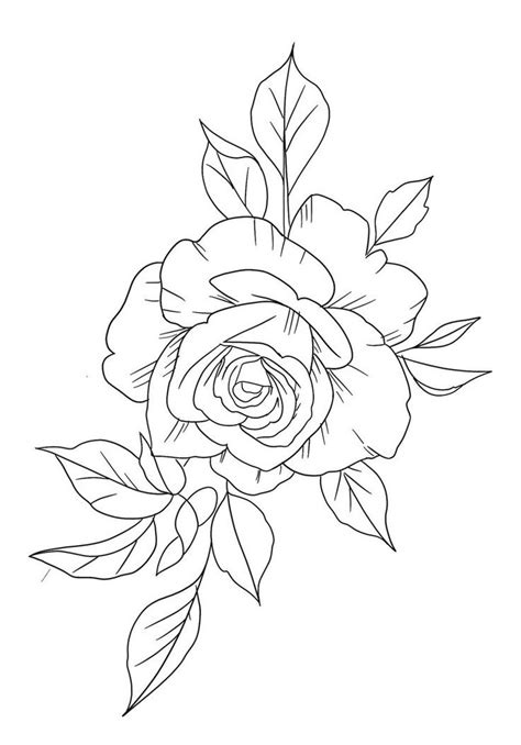 Pin On Floral Tattoo Design Roses Drawing Vine Drawing Floral