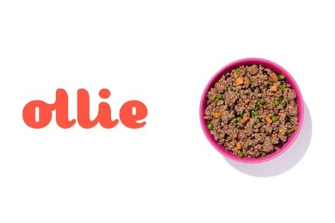 Ollie dog food: reviews, general information and prices - DogsPlanet.com