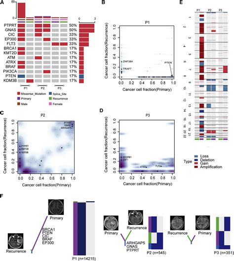 The Mutational Landscape In Paired Primary Gbms And Recurrence A