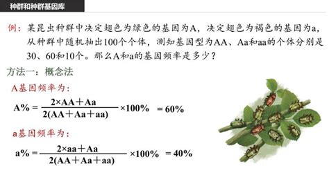 生物必修2《遗传与进化》一 种群基因组成的变化课前预习ppt课件 教习网课件下载