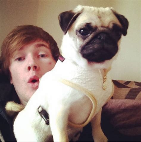 Gallery Dantdm S Pug Life Youtuber Review Hot Sex Picture