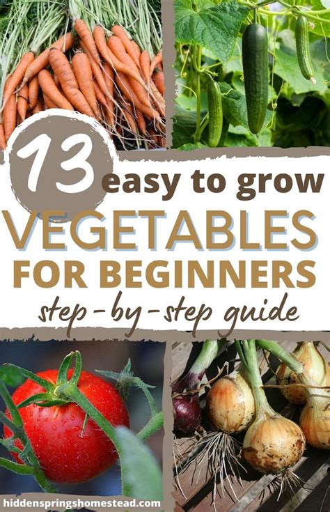 13 Easy To Grow Vegetables For A New Gardener Easy Vegetables To Grow