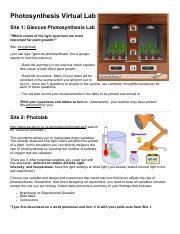 Photosynthesis Virtual Lab Photosynthesisvirtuallab Site