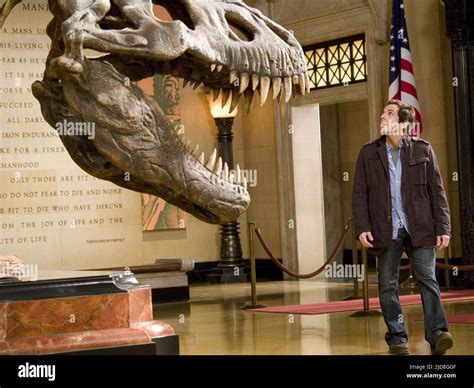 SKELETON,STILLER, NIGHT AT THE MUSEUM, 2006 Stock Photo - Alamy