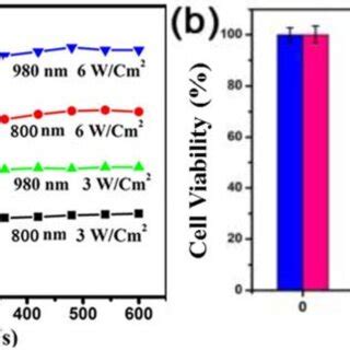 A Time Resolved Temperature In The Irradiated Nude Mouse Skins During