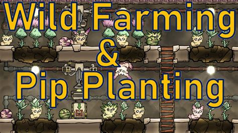 Oxygen Not Included Tutorial Bites Wild Farming Pip Planting