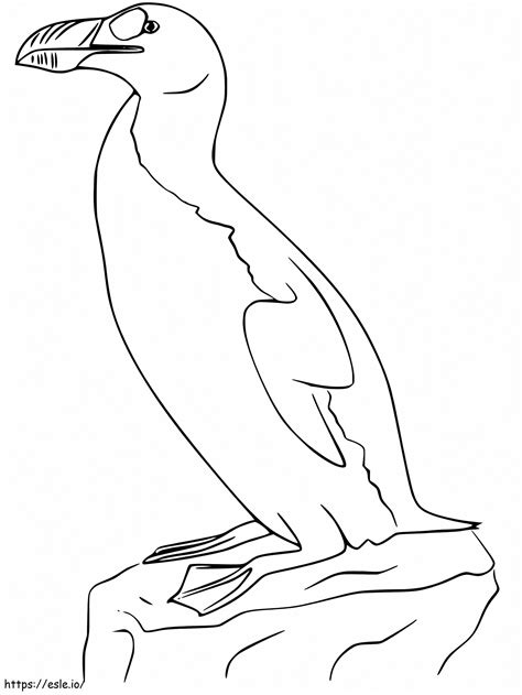 Free Auk coloring page