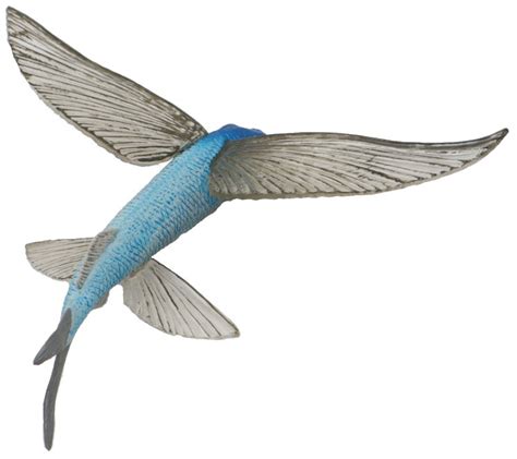 Safari Ltd Flying Fish Incredible Creatures