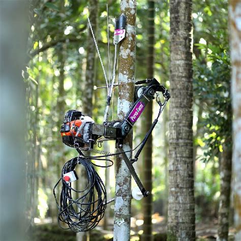 Steel Motorized Arecanut Tree Climber At Rs 75000 In Goa ID 5760493