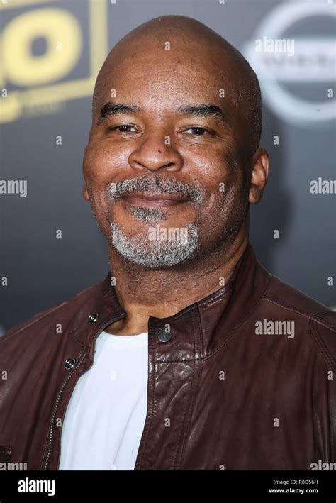 Hollywood Los Angeles Ca Usa May 10 David Alan Grier At The Los