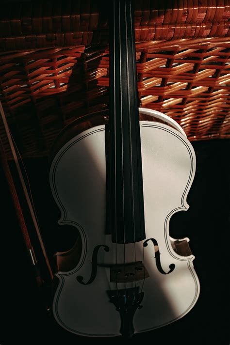 Viol N Instrumento M Sica Foto Gratis En Pixabay Pixabay